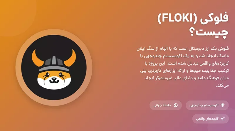 فلوکی چیست